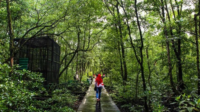 Hutan melestarikan freedomnesia upaya kita lakukan dapat adapun