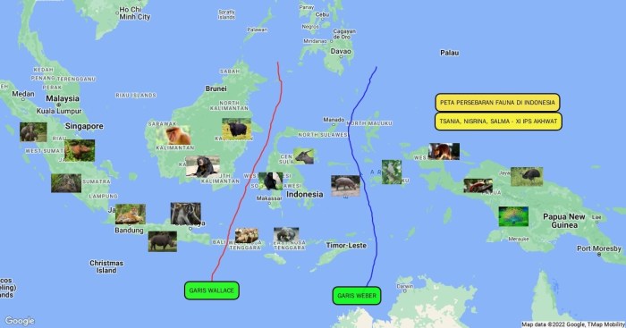 Bagaimanakah persebaran hewan di indonesia jelaskan