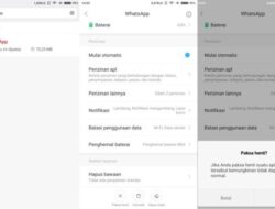 Bagaimana Cara Menonaktifkan WhatsApp