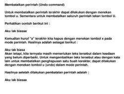 Kapan Kita Perlu Undo dan Bagaimana Cara Menjalankan Perintahnya?