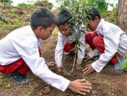 SMP Nusantara Tanam Pohon: Hijaukan Bumi, Semai Masa Depan