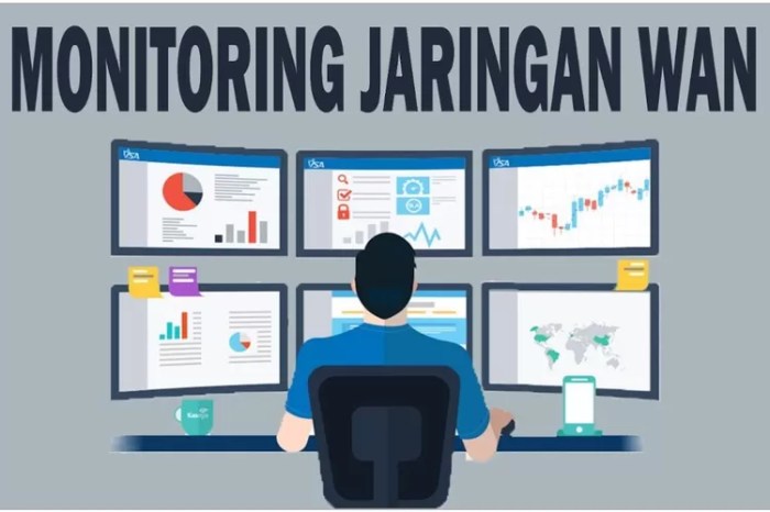 Jelaskan pengertian jenis koneksi circuit switching dalam jaringan wan