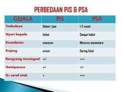 PSAS Adalah: Pedoman Akuntansi Sektor Publik