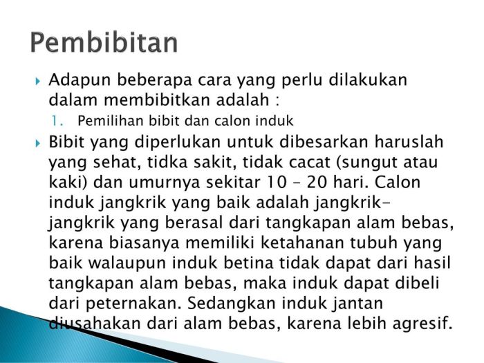 Memilih induk yang tidak cacat dan sehat adalah