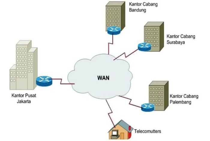 Jelaskan pengertian jenis koneksi circuit switching dalam jaringan wan