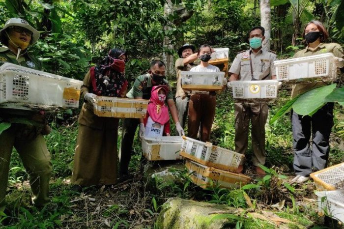 Lampung karantina kolaborasi bersama apik jejaring pelabuhan bangun lingkup komunitas