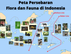 Bagaimana Pembagian Biodiversitas di Indonesia