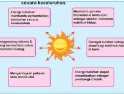 Bagaimana Cara Pemanfaatan Sinar Matahari sebagai Sumber Energi Alternatif