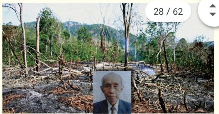 Hutan langkah kerusakan melindungi wahyuindah mengatasi diambil bisa