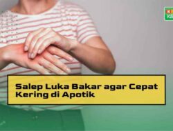 Bagaimana Cara Memanfaatkan Gambir untuk Membantu Proses Penyembuhan Luka Bakar