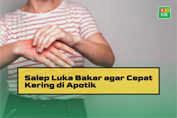 Bagaimana cara memanfaatkan gambir untuk membantu proses penyembuhan luka bakar