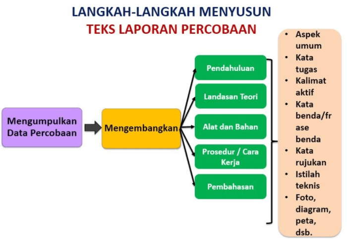 Bagaimana penyajian teks laporan percobaan