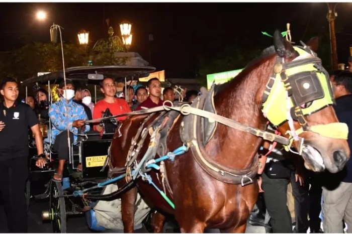 Kereta kuda sewaan seperti dokar di yogyakarta