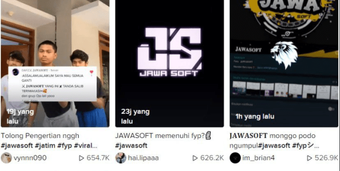 Jawasoft artinya