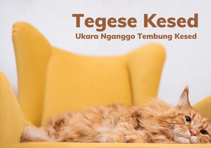 Tegese kawentar