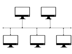 Topologi Backbone: Tulang Punggung Jaringan Komputer