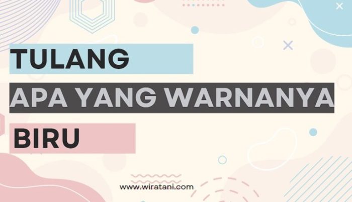 Tulang apa yang warnanya biru