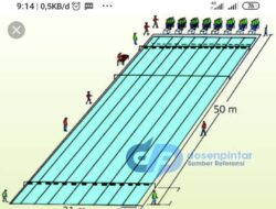 Gambar Kolam Renang Beserta Ukuran: Panduan Lengkap Membangun Oasis Pribadi