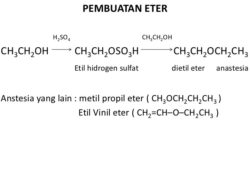 Bagaimana Cara Membedakan Butanol dengan Dietil Eter