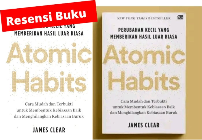 Resensi buku biasa kita temui di