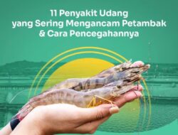 Bagaimana Caranya Agar Kita Aman di Air Saat Berenang