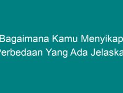 Bagaimana Kamu Menyikapi Perbedaan yang Ada, Jelaskan