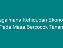 Bagaimana Kehidupan Ekonomi Berkembang Melalui Bercocok Tanam