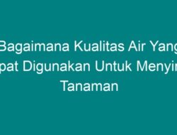 Bagaimana Kualitas Air Dapat Mempengaruhi Pertumbuhan Tanaman