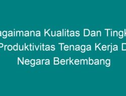 Bagaimana Kualitas dan Tingkat Produktivitas Tenaga Kerja di Negara Berkembang