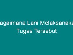 Bagaimana Lani Melaksanakan Tugas Tersebut