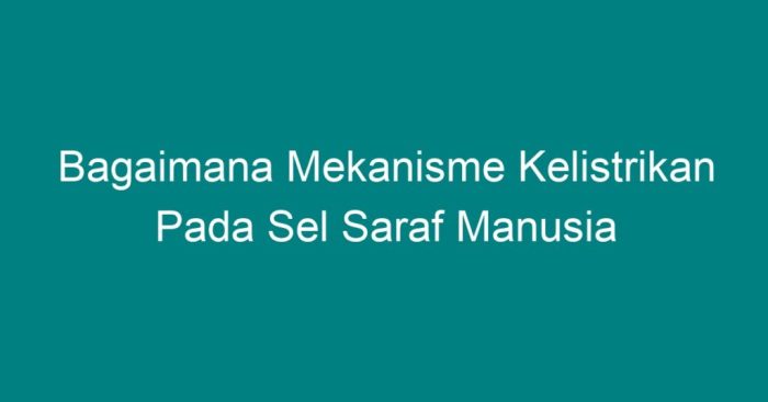 Saraf sel kelistrikan listrik impuls positif muatan bagian membran bermuatan luar melingkupi negatif cl saat mikirbae