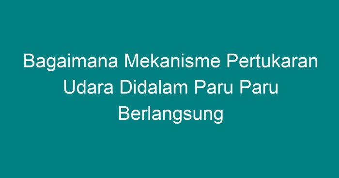 Pernapasan mekanisme manusia bagaimana dictio kedokteran 1124 1088