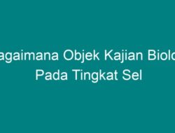 Bagaimana Objek Kajian Biologi pada Tingkat Sel