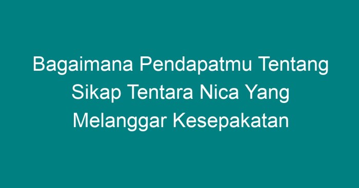 Knil serangan maret umum nica pasukan belanda 1949 latar belakang tentara tni infanteri angkatan darat dutch indies kartika juang army