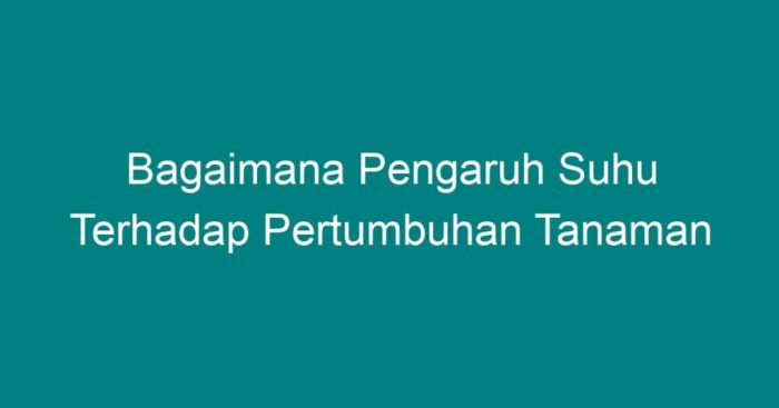 Terhadap tumbuhan pengaruh pertumbuhan