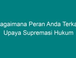 Bagaimana Peran Anda Terkait Upaya Supremasi Hukum