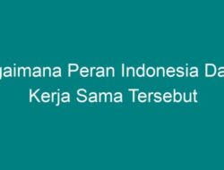 Peran Indonesia dalam Kerja Sama Regional: Bagaimana Kontribusinya?