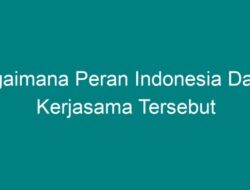 Bagaimana Peran Indonesia dalam Kerjasama Internasional dan Regional