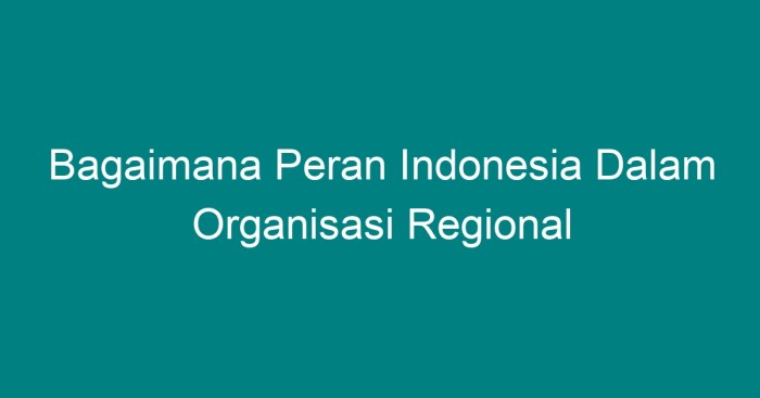 Peran organisasi asean pbb