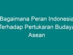 Peran Indonesia dalam Keragaman Budaya ASEAN