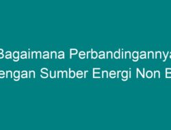 Bagaimana Perbandingannya dengan Sumber Energi Non Bio