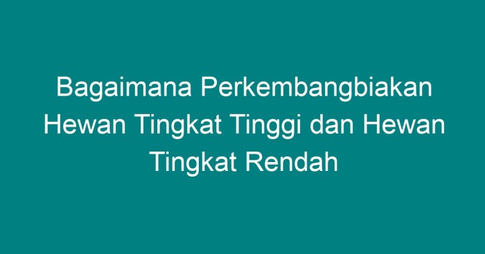 Ayam daur siklus metamorfosis proses pertumbuhan hewan tahapan perkembangan sempurna tidak penjelasannya jagad perkembangbiakan telur embrio manusia kucing pengertian kelas