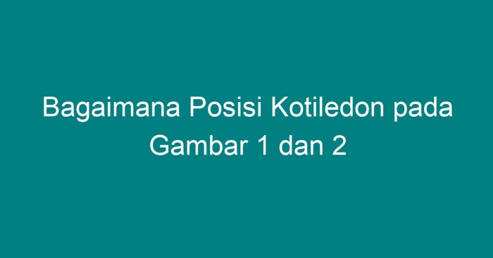 Perkecambahan tipe kotiledon letak pertumbuhan benih berdasarkan tumbuhan epigeal perkembangan