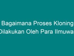 Jelaskan Bagaimana Proses Kloning Dilakukan oleh Para Ilmuwan