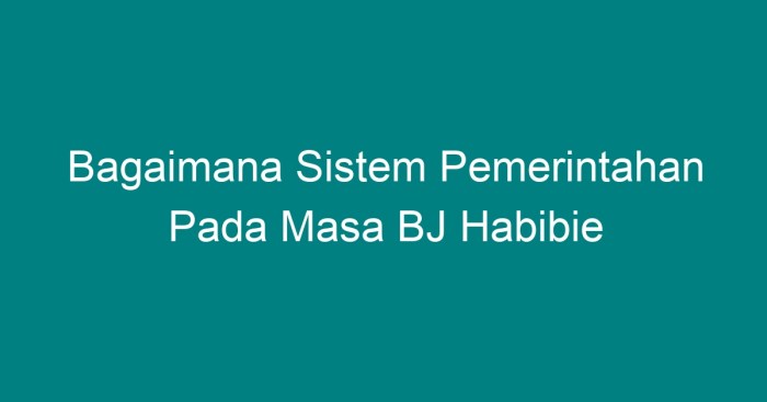 Demokrasi habibie presiden republik suharto kursi kepresidenan diri istana gerakan jejak menyisir antikorupsi kontribusinya mengundurkan merdeka lccn loc