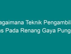 Bagaimana Teknik Pengambilan Nafas pada Renang Gaya Punggung