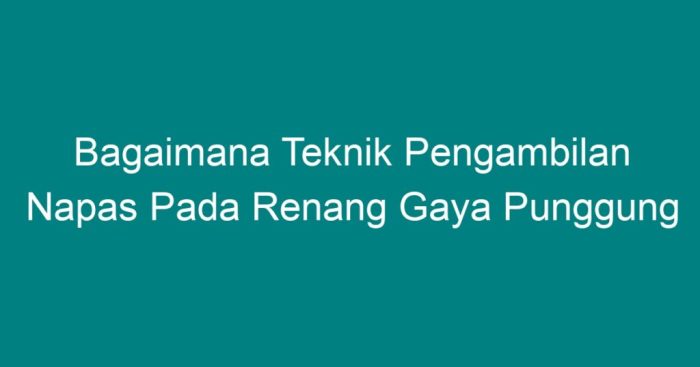 Teknik gaya bebas renang pernapasan dasar tahapan napas haloedukasi dikuasai