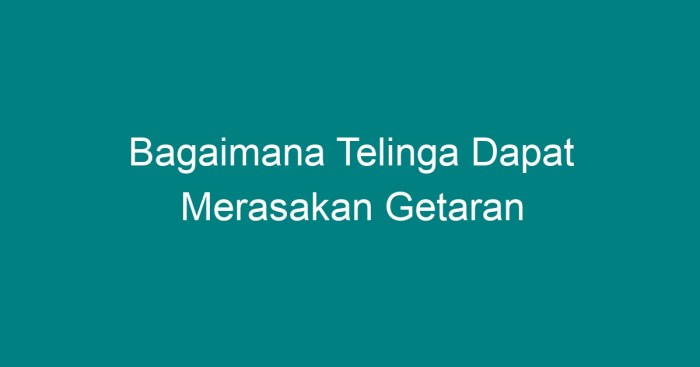 Telinga manusia mekanisme pendengaran bagian suara proses mendengar getaran biologi ada alat berfungsi bagaimana modul ipa pembelajaran saluran tubuh