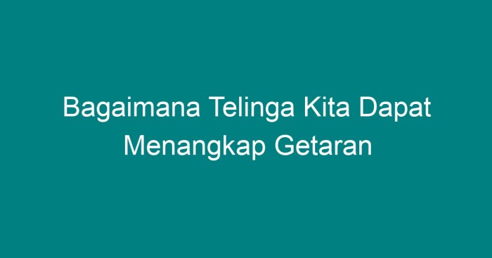 Telinga bagian indera getaran sistem menangkap pendengaran struktur suara dari menuju