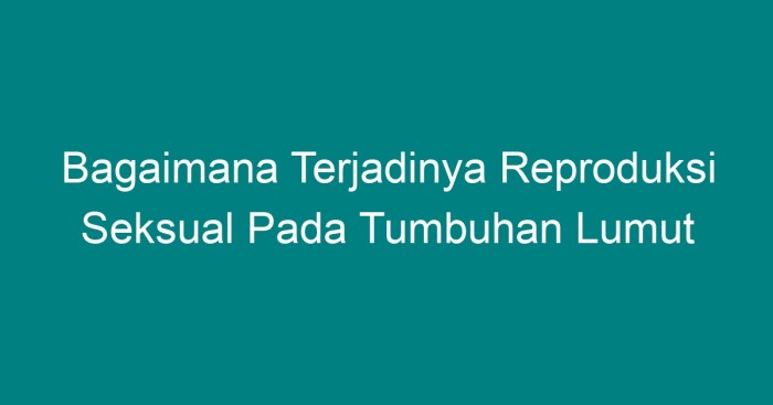 Paku tumbuhan reproduksi lumut spora tahap mikirbae